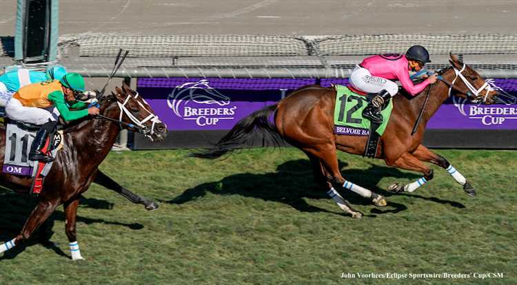 Breeders Cup Vafot Tufayli Santa Anita At Yarisini To’xtatishga Suhbat Kuydiradi Qamishni Cheksiz