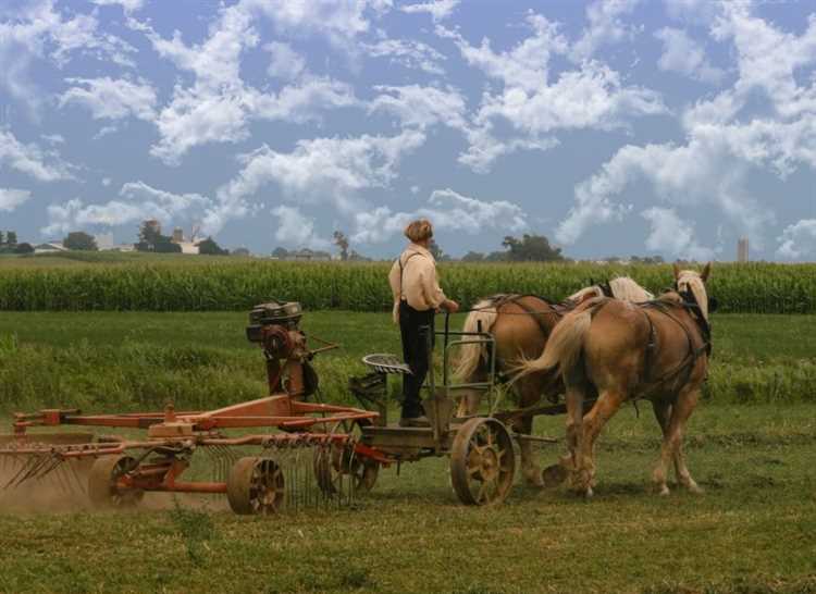 Pensilvaniya Geyming Kengaytirilishi Amish Viloyati Nomi Bilan Taqdim Etiladi