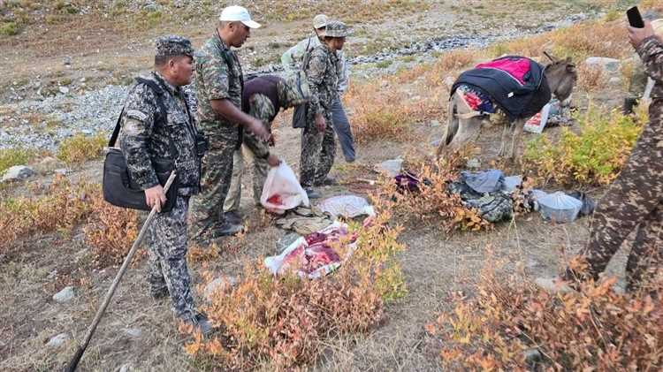 Qimorlar BC Kazinolarda Pul To’plangan Sumkalar Asian Madaniy Ommaviy Huquqni Bildirdi